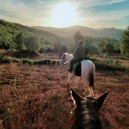 Szálloda Moli De La Torre 3*