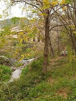 Moli De La Torre