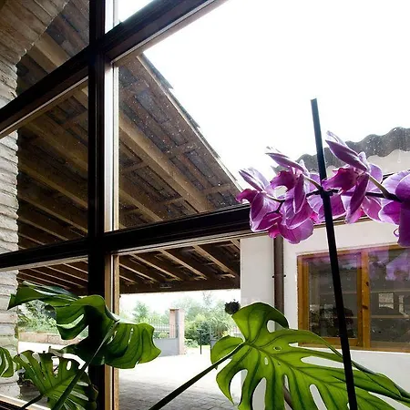 Hotel Moli De La Torre